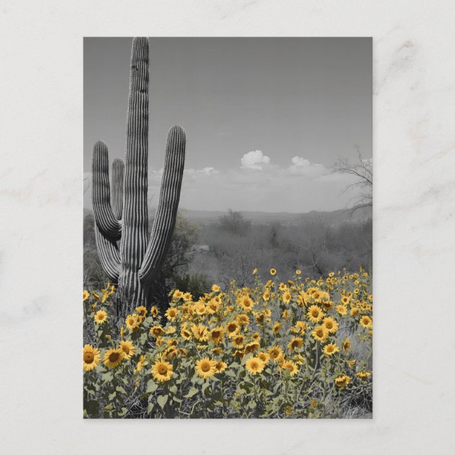 Carte Postale Désert du Sud-Ouest Saguaro Cactus et tournesols (Devant)