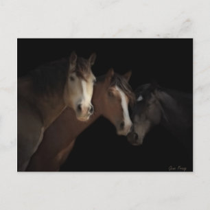 Carte postale Desert Ghosts