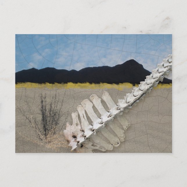 Carte Postale Desert Iconic à la manière de Georgia O'Keeffe. (Devant)