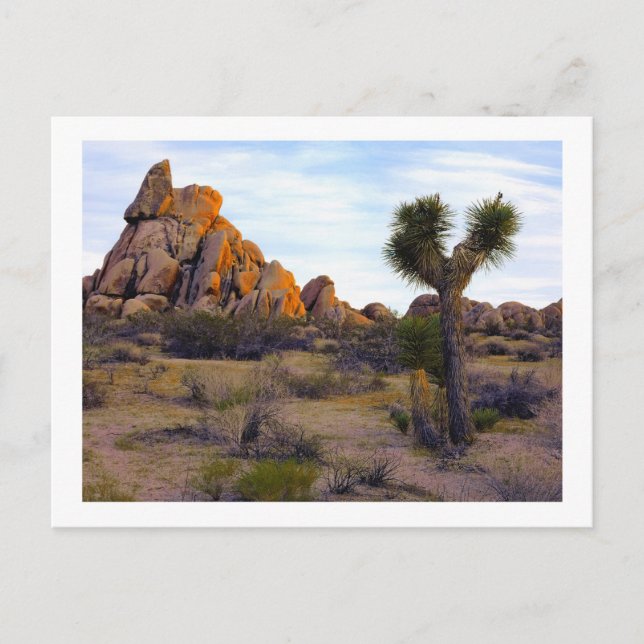 Carte Postale " Desert Soft Light " (Devant)