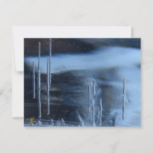 Carte Postale Desert Vision Quest, Saguaro la nuit