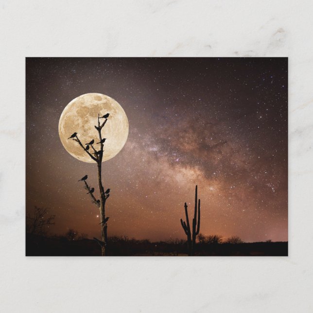 Carte Postale Déserts | Cactus Saguaro avec des oiseaux dans le  (Devant)