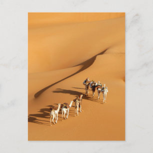 Carte Postale Deserts   Tuareg Walk with Camels