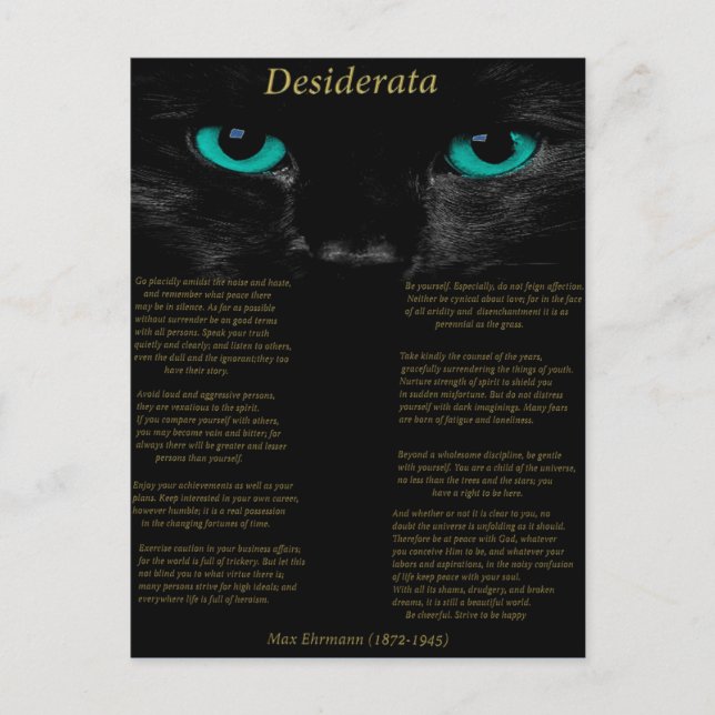 Carte Postale Desiderata chat noir avec ses yeux Turquoise (Devant)