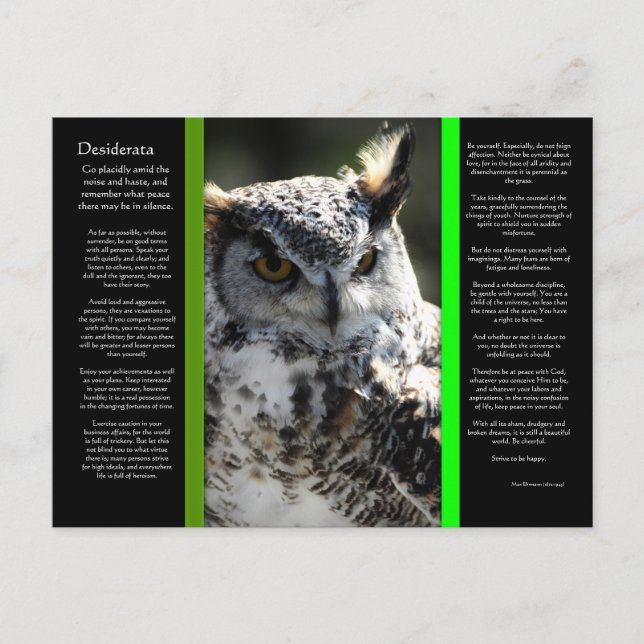 Carte postale DESIDERATA Great Horn Owl 2 (Devant)
