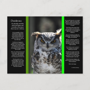 Carte postale DESIDERATA Great Horn Owl 5