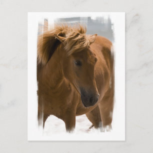 Carte postale Design Chestnut Horse