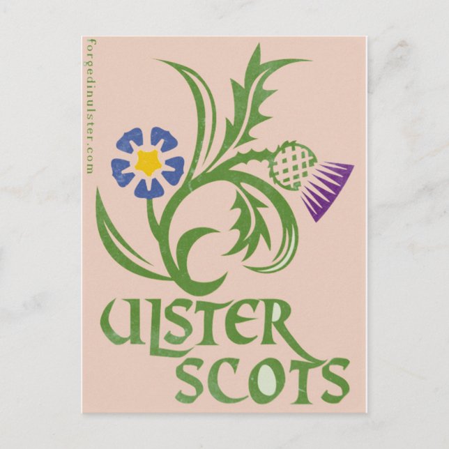 Carte Postale Design de lin et de chardon Ulster-Scots. (Devant)