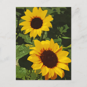 Carte postale design de tournesol jaune