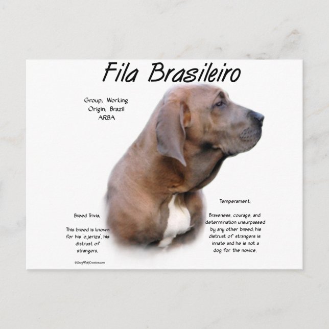 Carte Postale Design d'histoire de Fila Brasileiro (Devant)