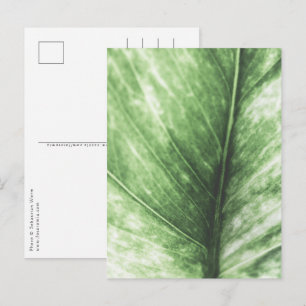 Carte Postale Design floral feuille vert clair