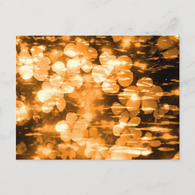 Carte Postale Design floral, lumineux et orange (Devant)