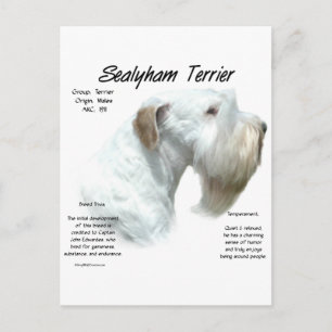 Carte Postale Design historique de Sealyham Terrier