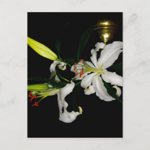 Carte Postale Design irlandais - La collection Flower