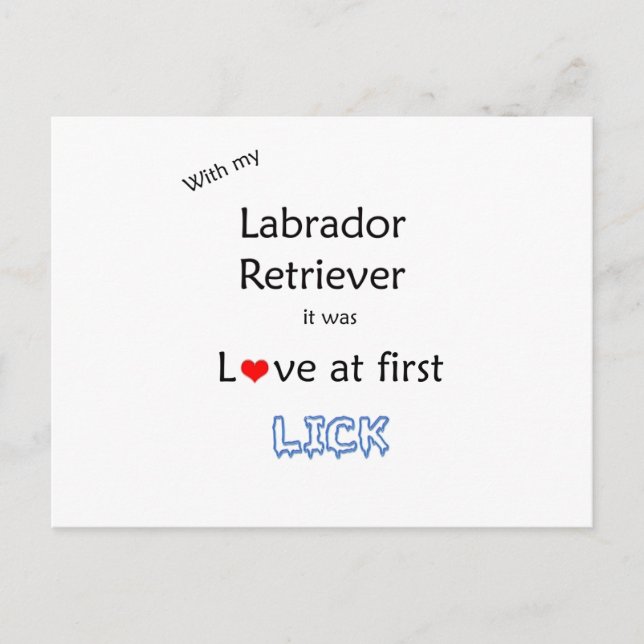Carte Postale Design Lick Retriever Labrador (Devant)