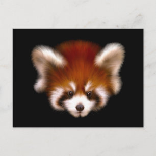 Carte Postale Design Panda rouge
