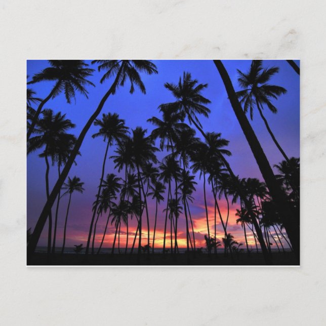 Carte Postale Design relaxant Floride atmosphère (Devant)