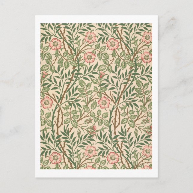 Carte Postale Design 'Sweet Briar' pour papier peint, imprimé pa (Devant)