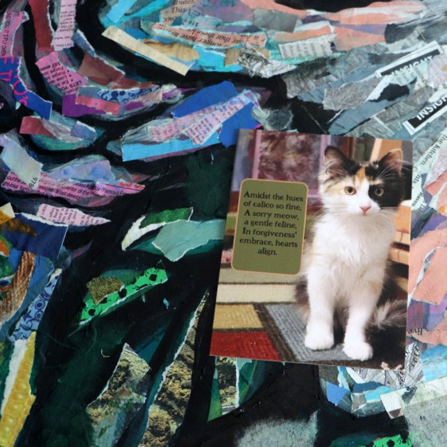 Carte Postale Désolé Calico Kitten (Créateur téléchargé)