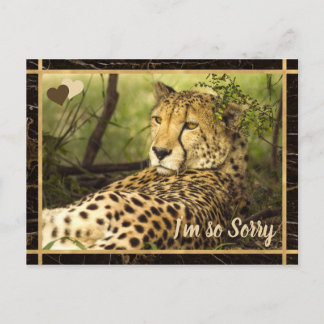 Carte Postale Désolé Cheetah Image