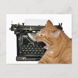 Carte Postale Désolé de ne pas avoir écrit