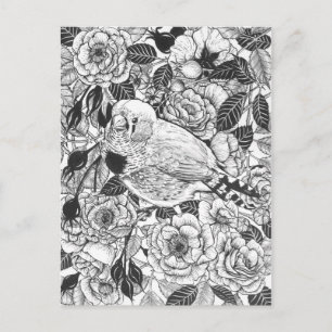 Carte Postale Dessin à encre de buisson Zebra et rose
