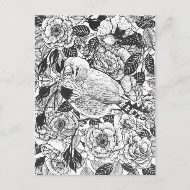 Carte Postale Dessin à encre de buisson Zebra et rose (Devant)