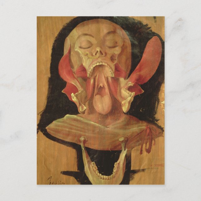 Carte Postale Dessin anatomique de la tête (Devant)