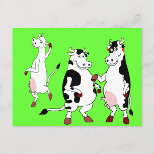 Carte Postale Dessin animé de vaches amusantes