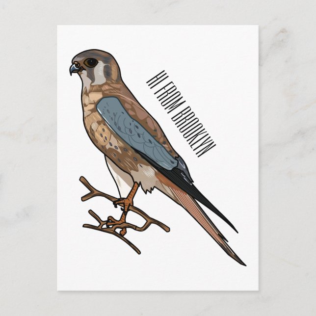 Carte Postale dessin animé d'oiseau-kestrel américain (Devant)