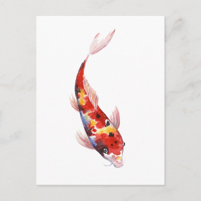 Carte Postale Dessin aquarelle de Koi Carp (Devant)