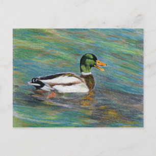 Carte Postale Dessin au crayon couleur canard de Mallard