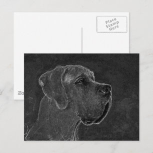 Carte Postale Dessin au fusain de tête de Dogue Allemand