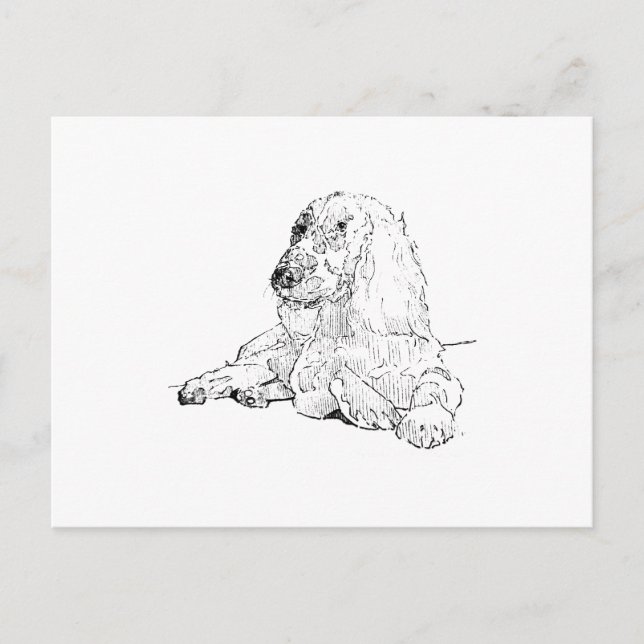 Carte Postale Dessin au trait de Cocker Spaniel Art Chien  (Devant)