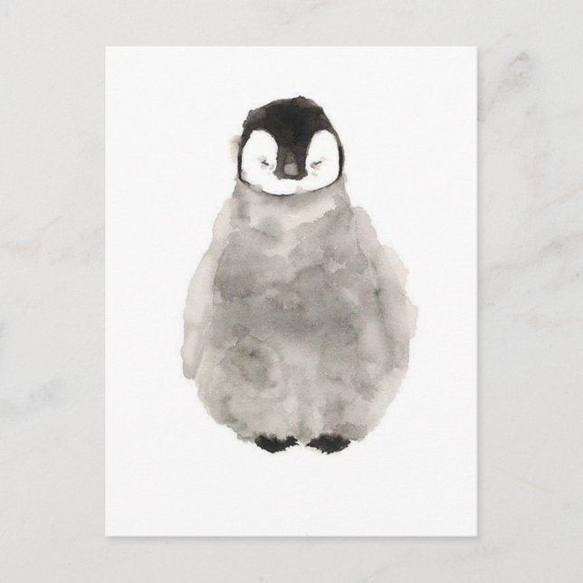 Carte Postale Dessin bébé pingouin (Devant)