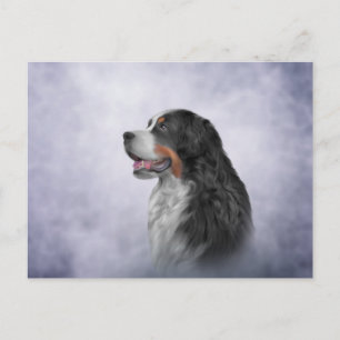 Carte Postale Dessin Bernese Mountain Dog