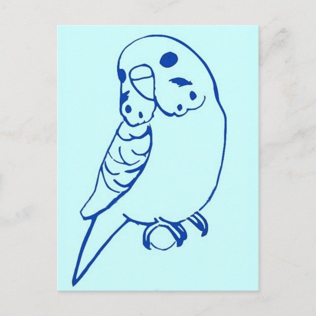 Carte Postale Dessin Budgie (Devant)