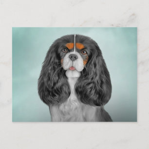 Carte Postale Dessin Chien Cavalier King Charles Spaniel