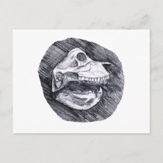 Carte Postale Dessin crânien dessin animal imaginaire