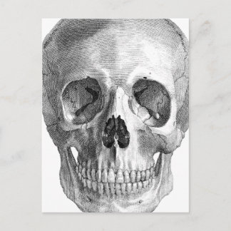 Carte Postale Dessin d'anatomie du crâne humain