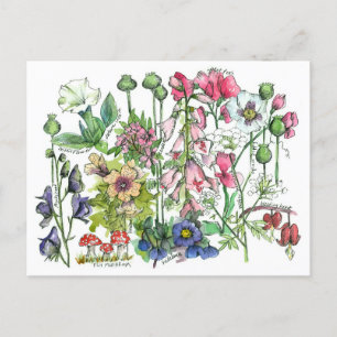 Carte Postale Dessin d'aquarelle aux herbes Plantes poisonnantes