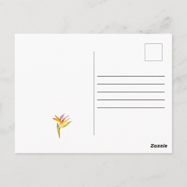 Carte Postale Dessin d'aquarelle d'un perroquet de cacatoès (Dos)