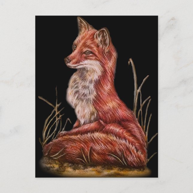 Carte Postale Dessin d'art animal Red Fox (Devant)