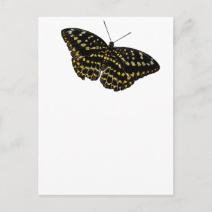 Carte Postale Dessin d'art papillon jaune et noir Nature