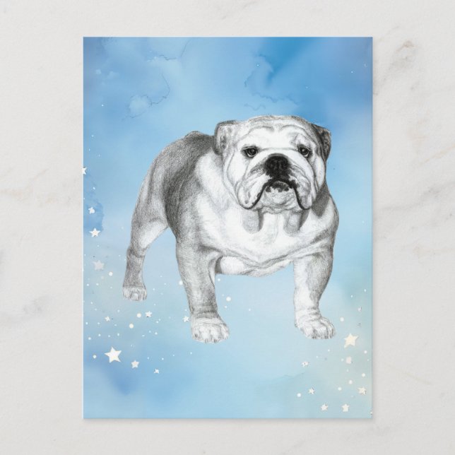 Carte Postale dessin de Bulldog anglais (Devant)