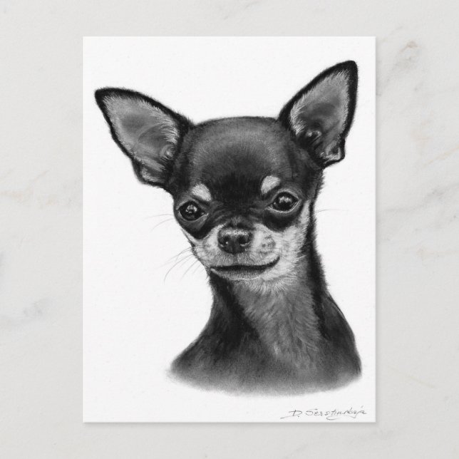 Carte Postale Dessin de charbon à gazon doux (Devant)