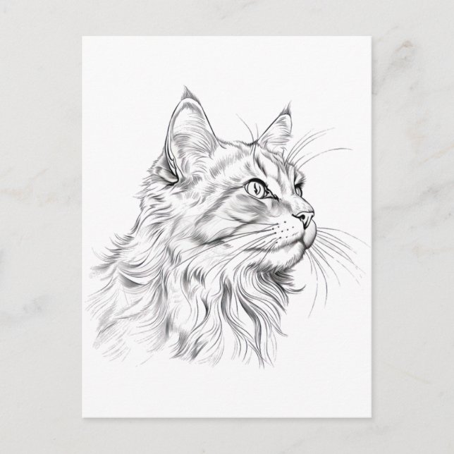 Carte Postale Dessin de chat (Devant)