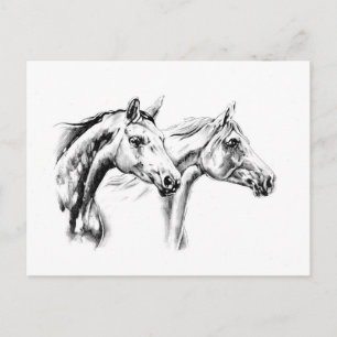 Carte Postale Dessin de cheval croquis artisanal