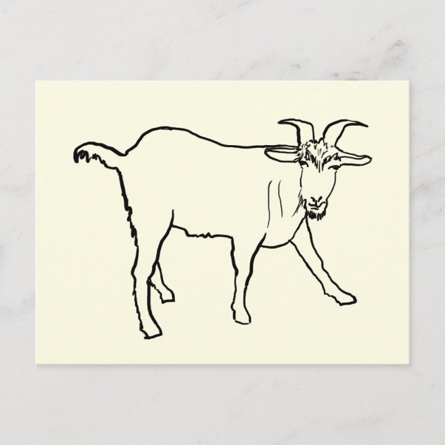 Carte Postale Dessin de chèvre amusant Art d'animal de ferme de  (Devant)