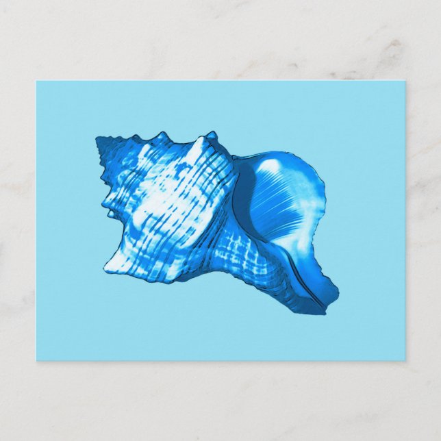 Carte Postale Dessin de coquille de conque - bleu cobalt et bleu (Devant)